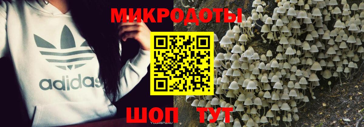 Галлюциногенные грибы Psilocybine cubensis  Вход с VPN  продажа наркотиков  Алатырь  Псилоцибиновые грибы Psilocybe 